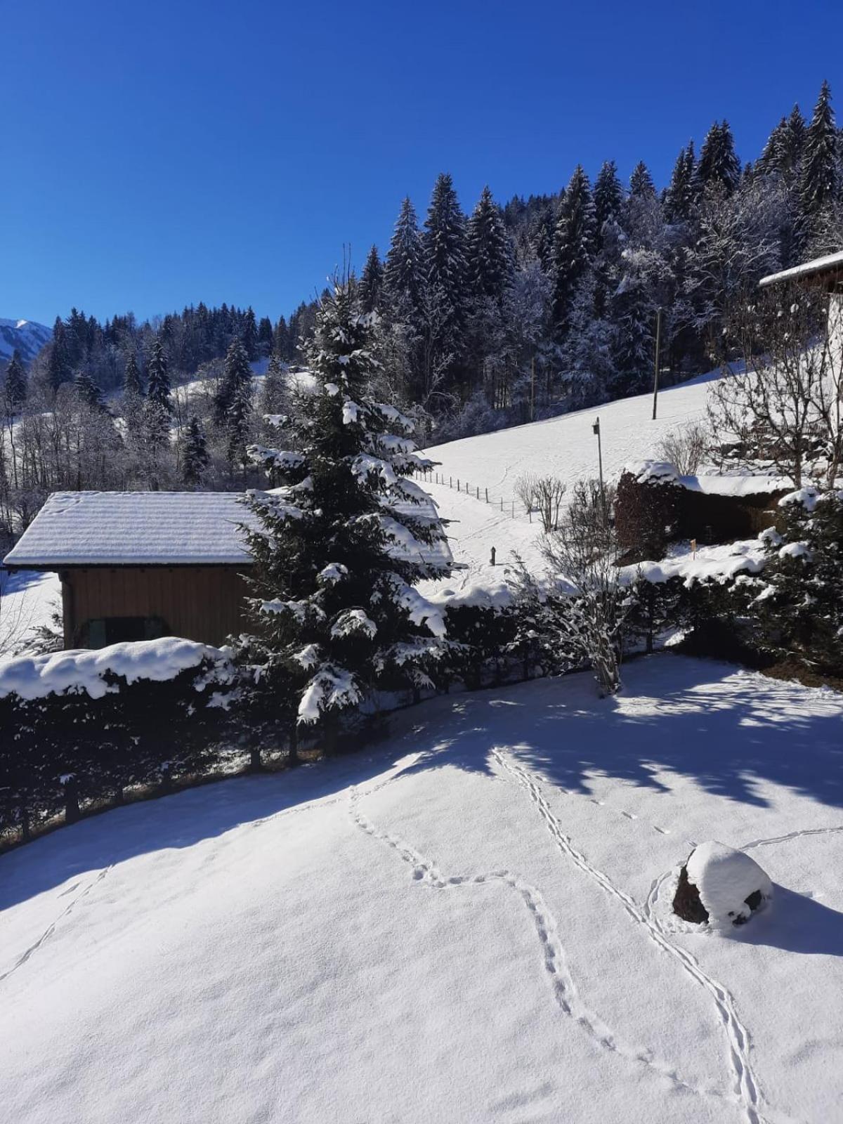 Hotel Berghof Mehlan Fischen im Allgaeu Habitación foto